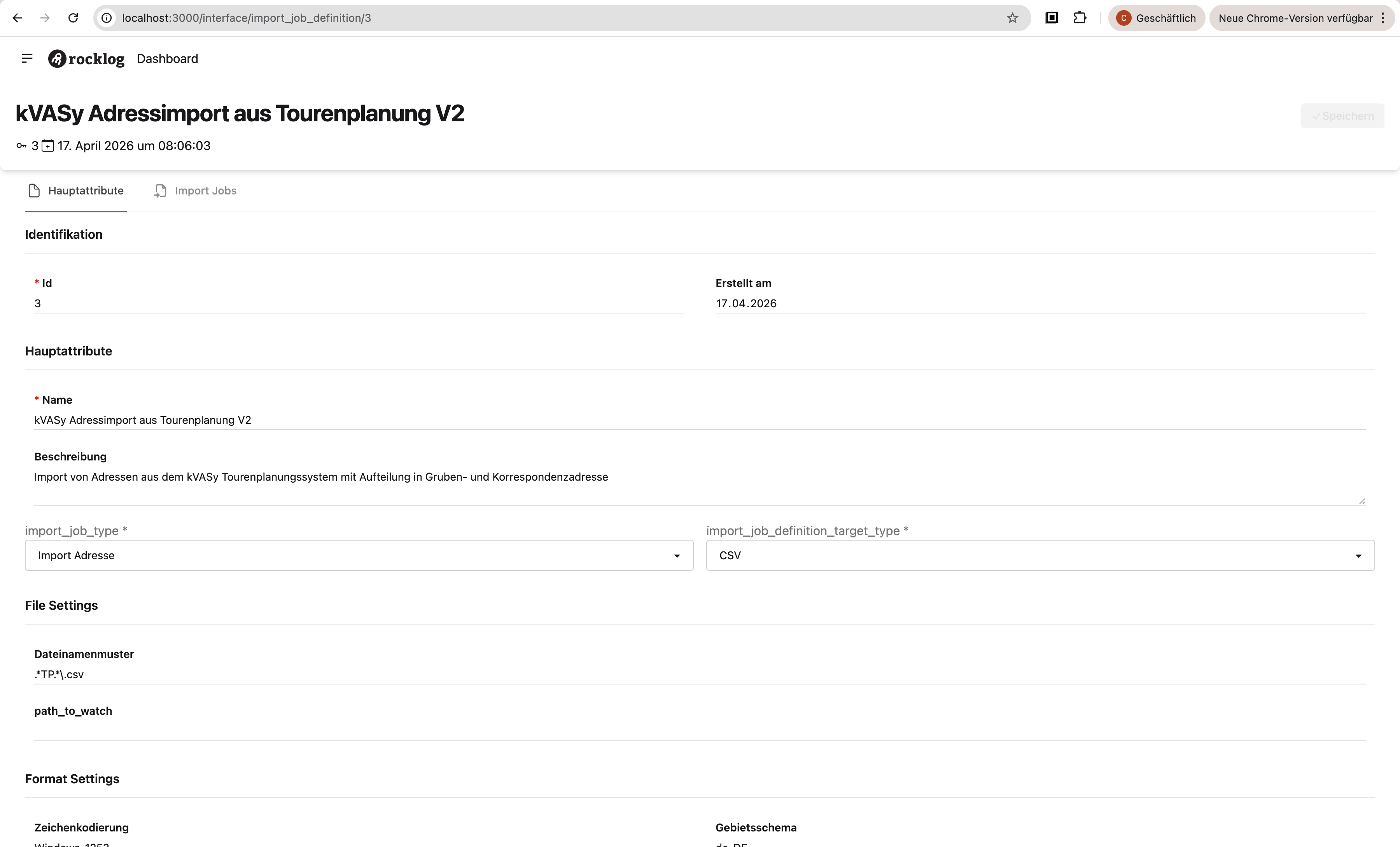 V2 Import-Job-Definition Detailseite — Hauptattribute, File- und Format-Settings